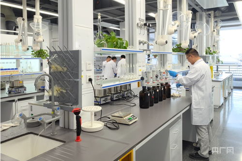 固废堆里掘财富 粉煤灰“烧”出循环经济新产业