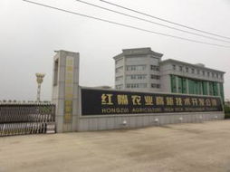 龙头效应驱动下的技术开发 引领创新与产业变革